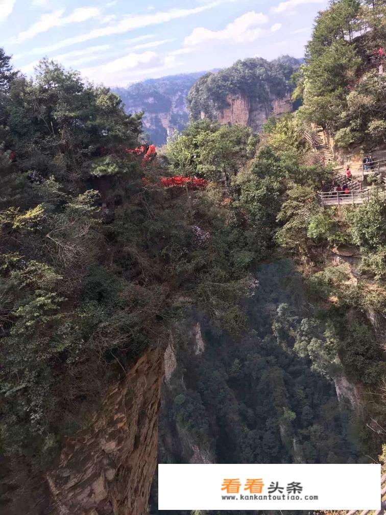 张家界旅游五天四晚旅游费用？