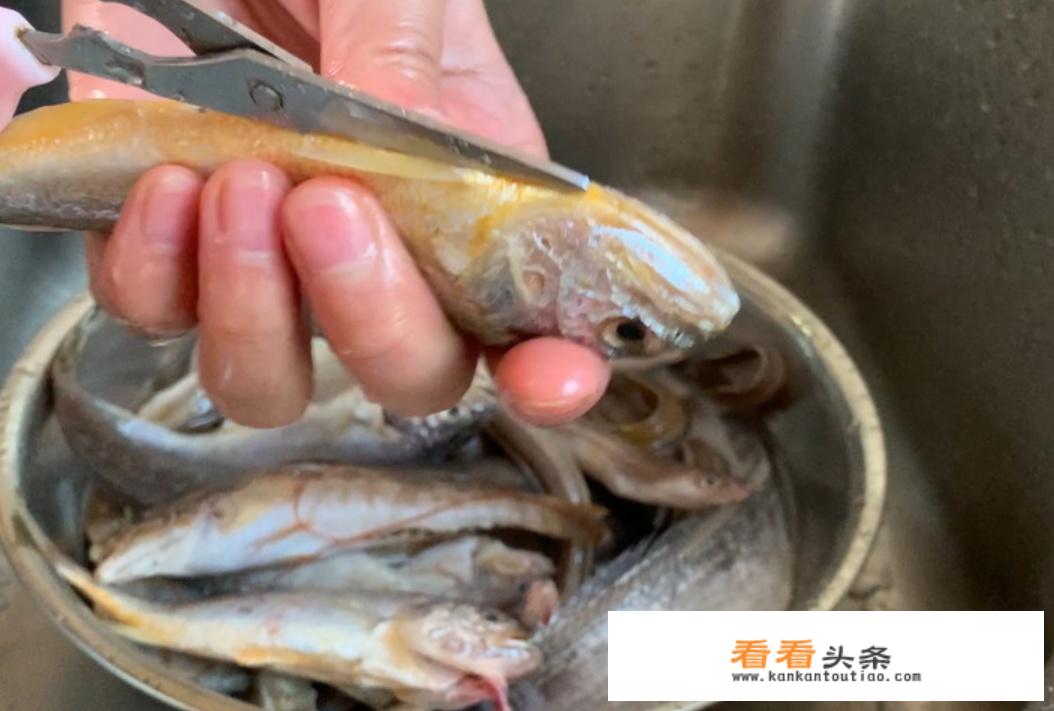 杂鱼的家常做法？