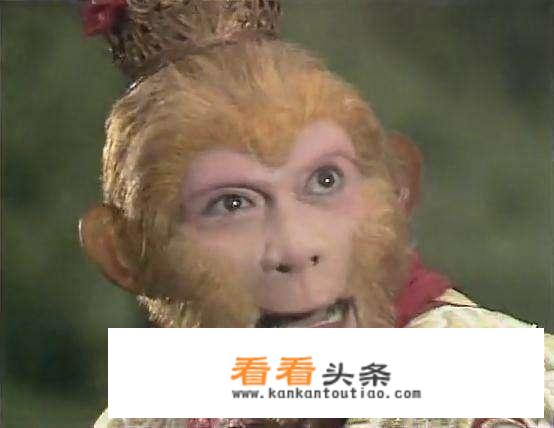 两开花啥意思？