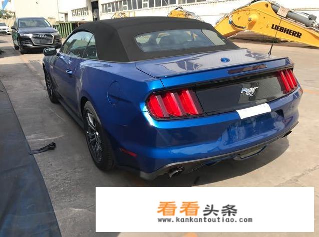 蛇标野马多少万？
