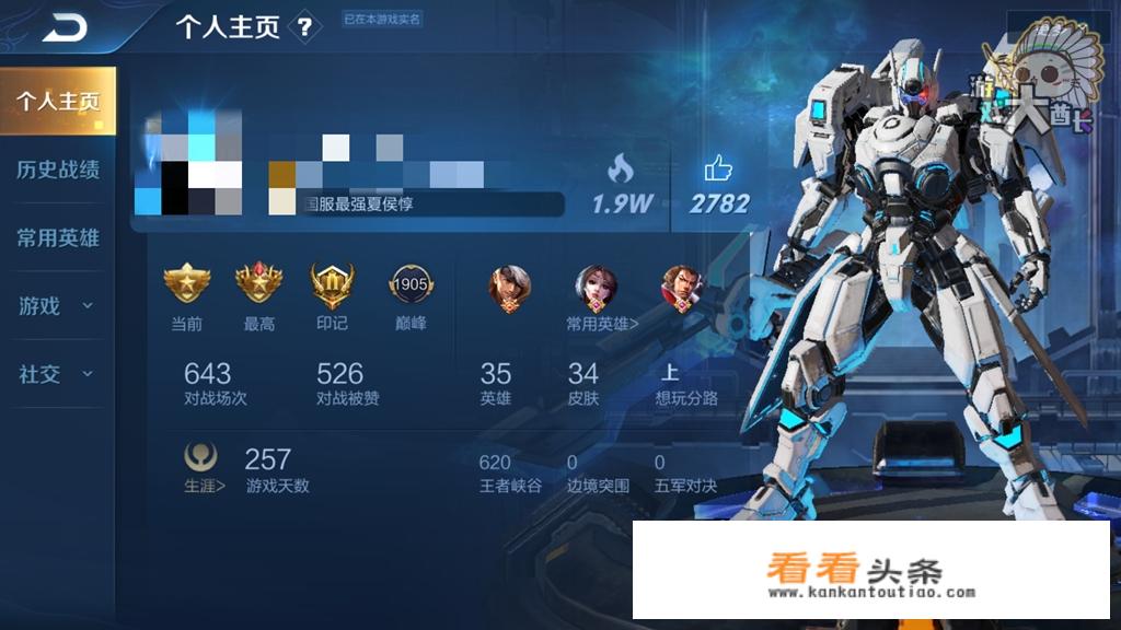 王者荣耀个人主页的资料卡，放什么英雄或皮肤比较引人注目？