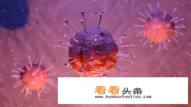 啤酒凤爪的做法？