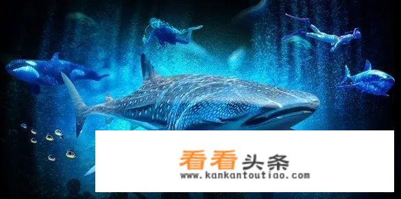 4.85kg的笔记本？