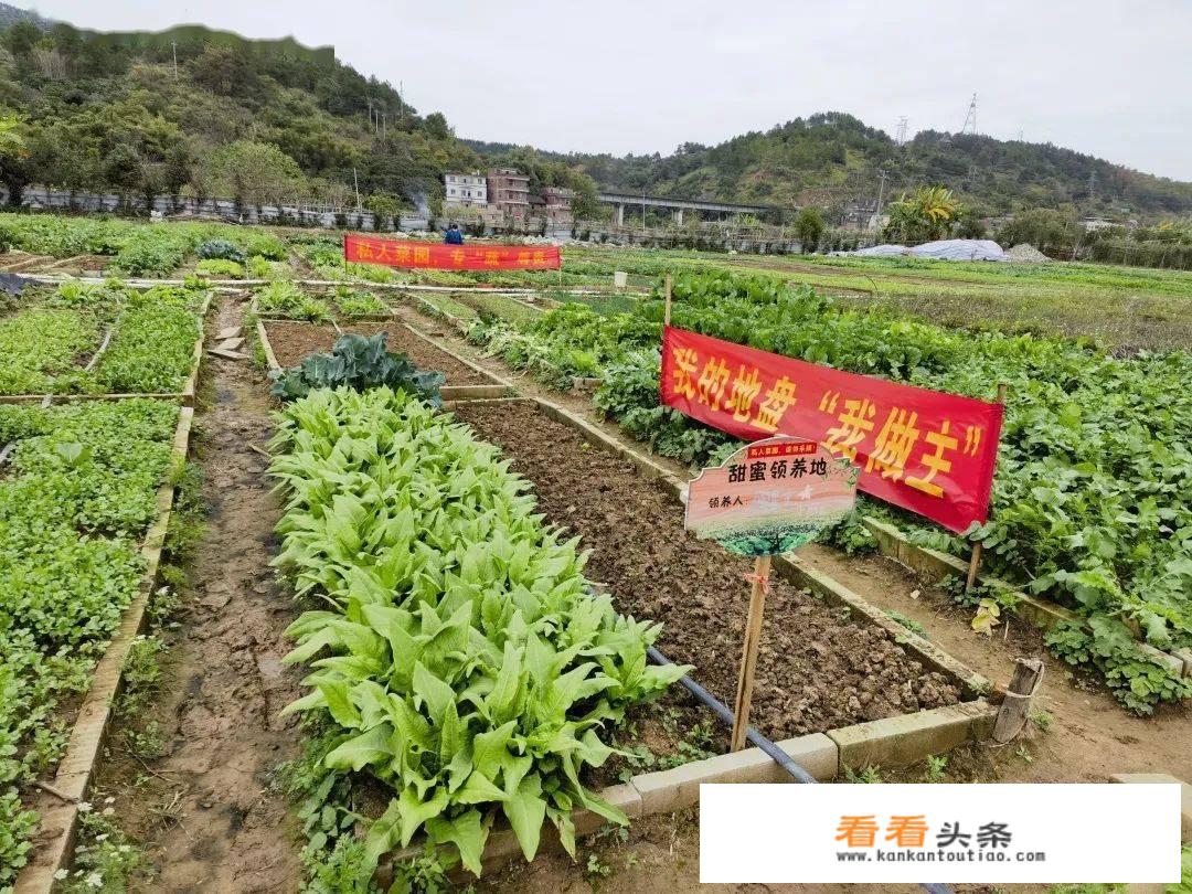 梧州有什么适合小孩子玩的景点吗？