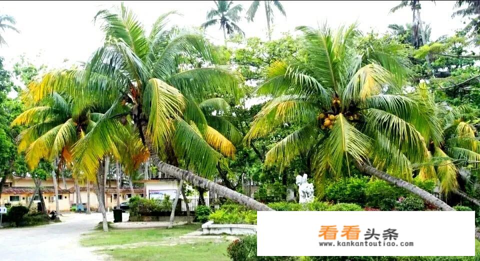 广州到百色自驾游攻略？