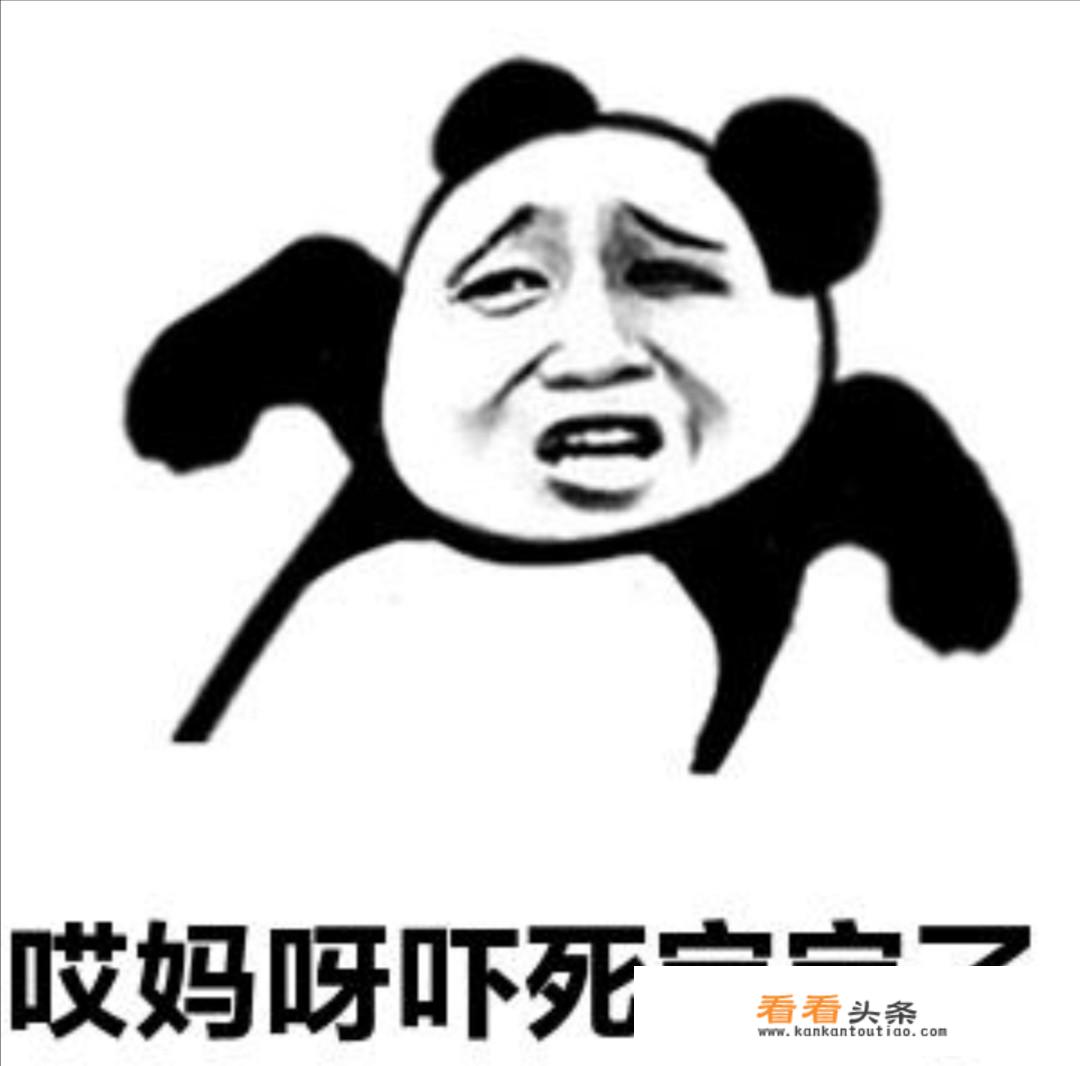 博美突然惨叫死亡？