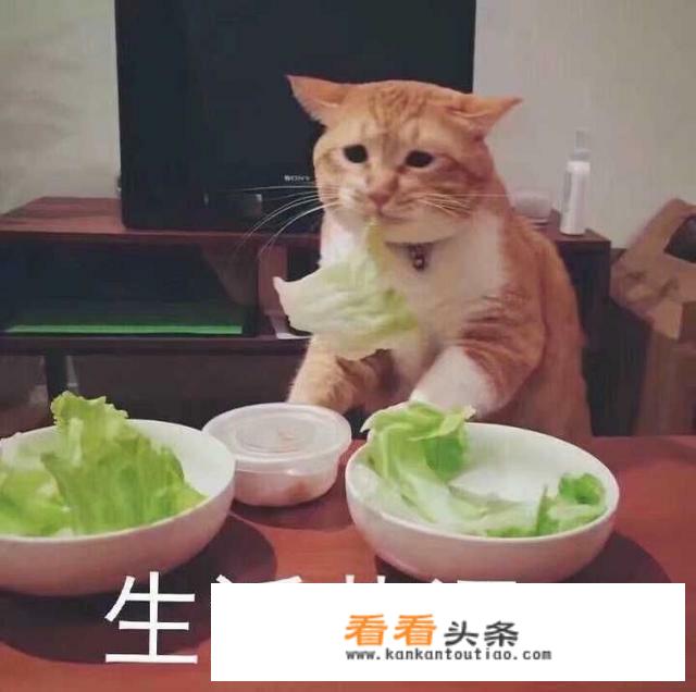 三星笔记本手写板怎么开启？