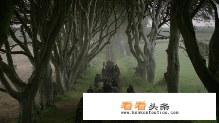 权力的游戏第七季中艾丽娅发现的秘密是啥？