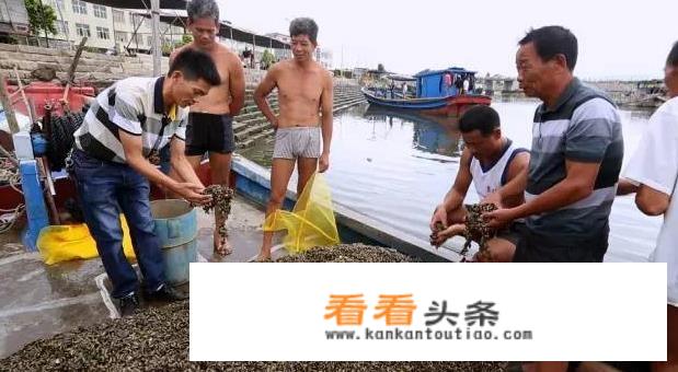 广州南站到汕尾的有哪些车次？