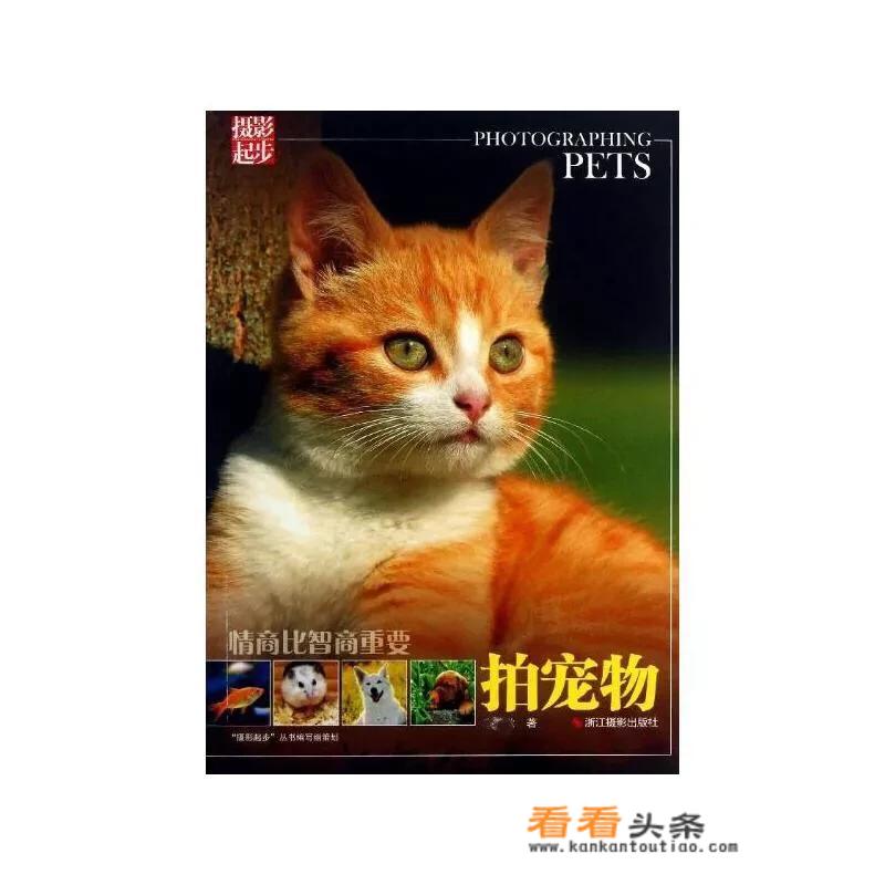 北京站到廊坊九天生态休闲谷怎么走，有公交吗？