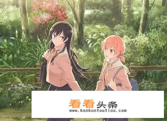 哪些动漫没有了男主角依旧能看？