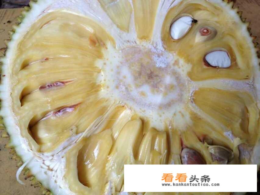 凤梨和波萝有什么区别？