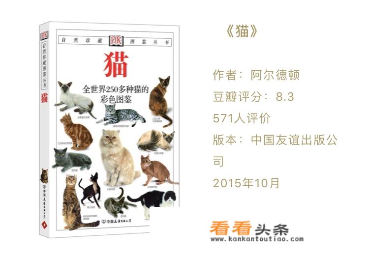 关于猫的杂志或者书，有推荐的吗？