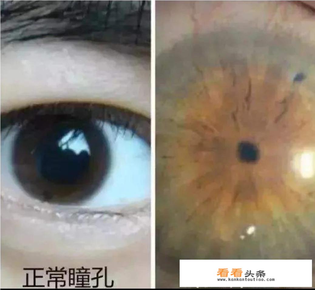 沙曼天的全部小说？