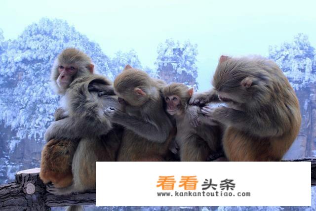 2021年11月适合去哪旅游？