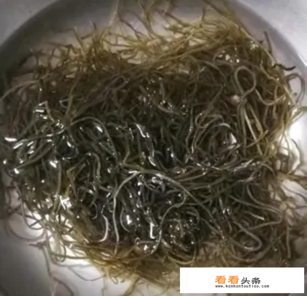 干海带丝怎么泡发凉拌？