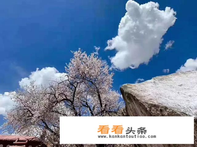 想一个人去旅游2天哪个地方比较合适？