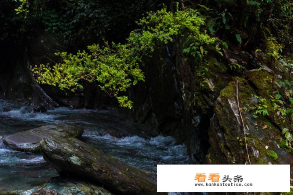丫山十大旅游景点？