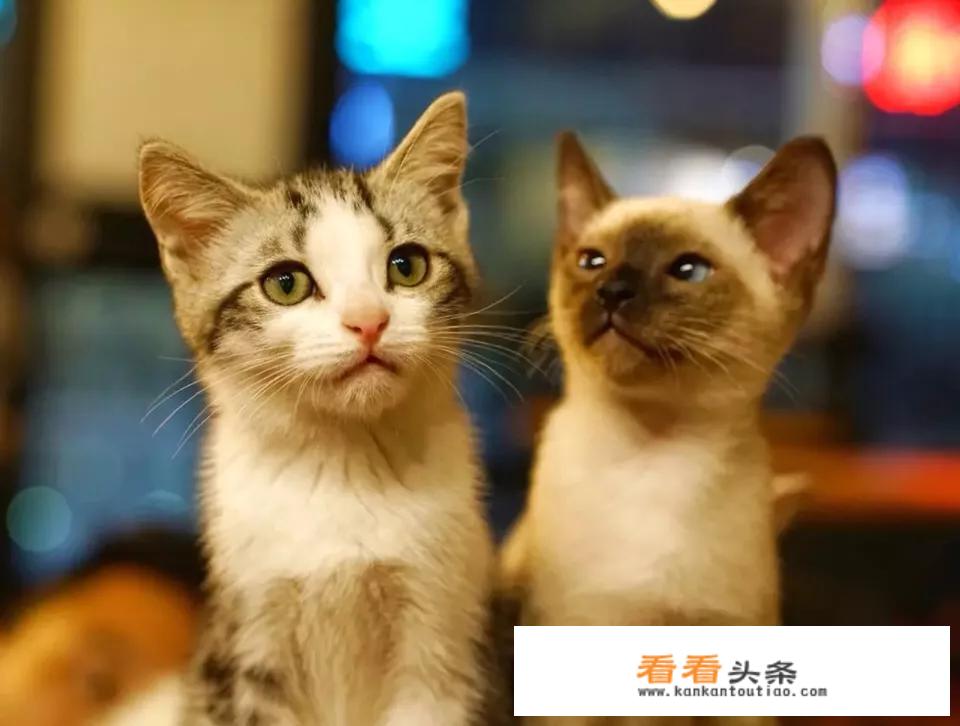 北京亿尊装饰怎么样？