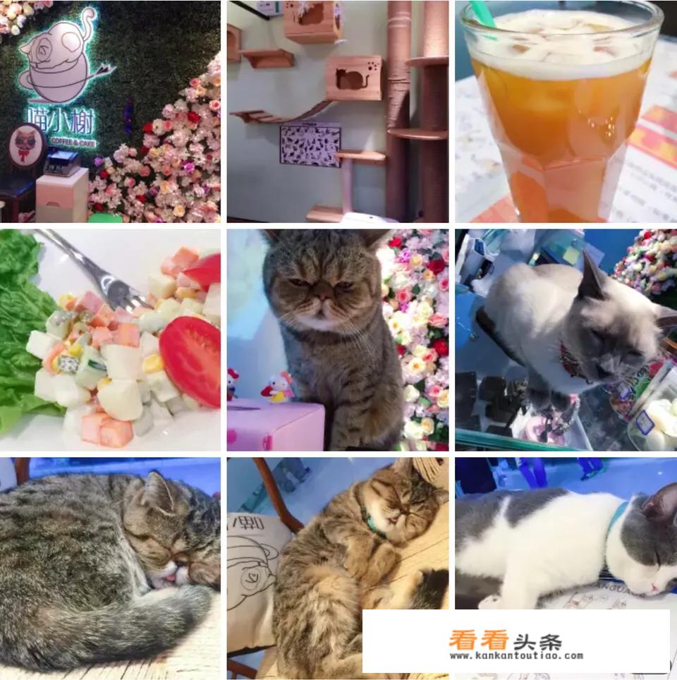 北京亿尊装饰怎么样？