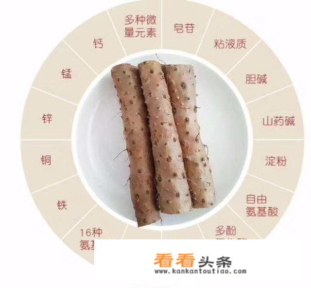 排骨山药汤的家常做法？