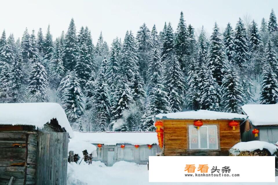年前去哈尔滨，是去雪乡待几天好，还是跟个团走雪谷-雪乡-镜湖-长白山好？