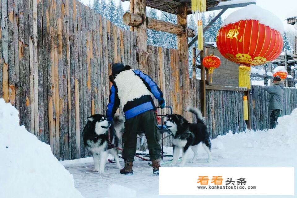 年前去哈尔滨，是去雪乡待几天好，还是跟个团走雪谷-雪乡-镜湖-长白山好？