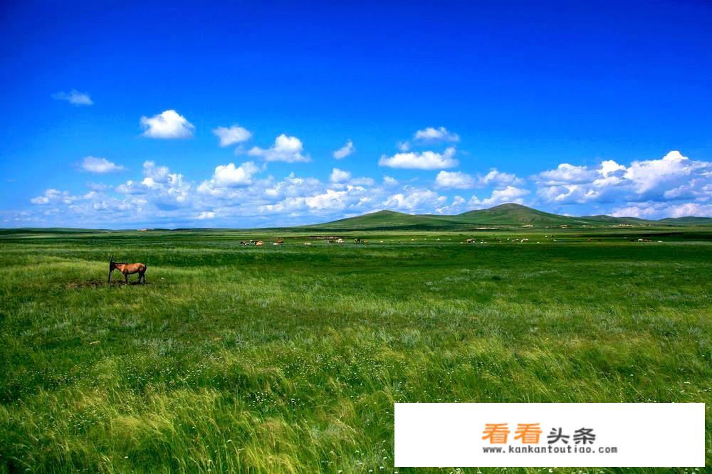 一个人想去旅游，怎么找结伴的？