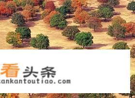 科尔沁五角枫更佳旅游时间？