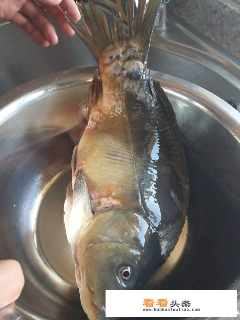 炖鱼的家常做法步骤？