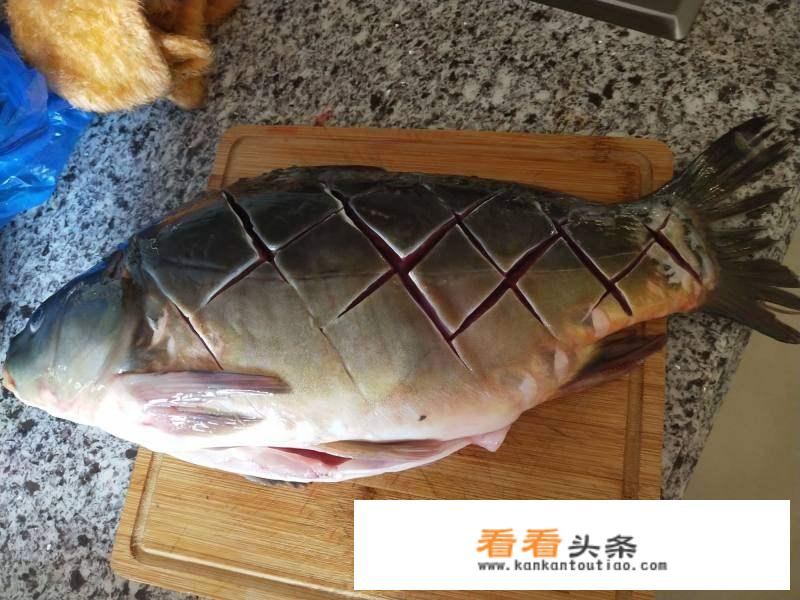炖鱼的家常做法步骤？