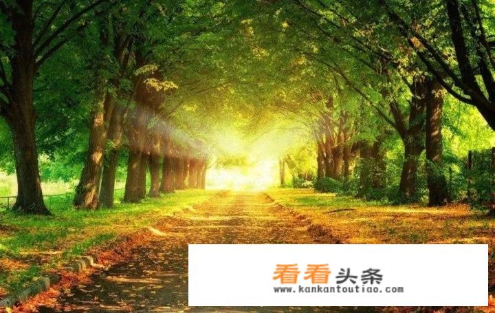 清远本地人看过来！建市30周年，你们发觉身边更大变化是什么？