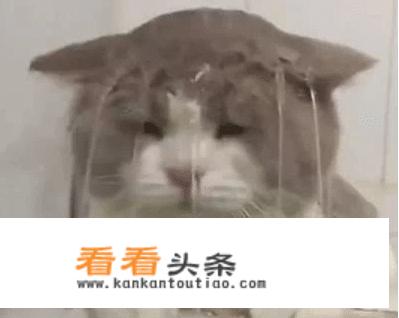 一水果店老板系新发地密切接触者，顾客慌了，你怎么看？