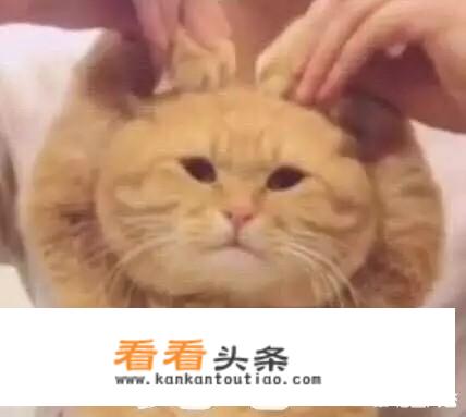 手机后面一个t子是什么手机？