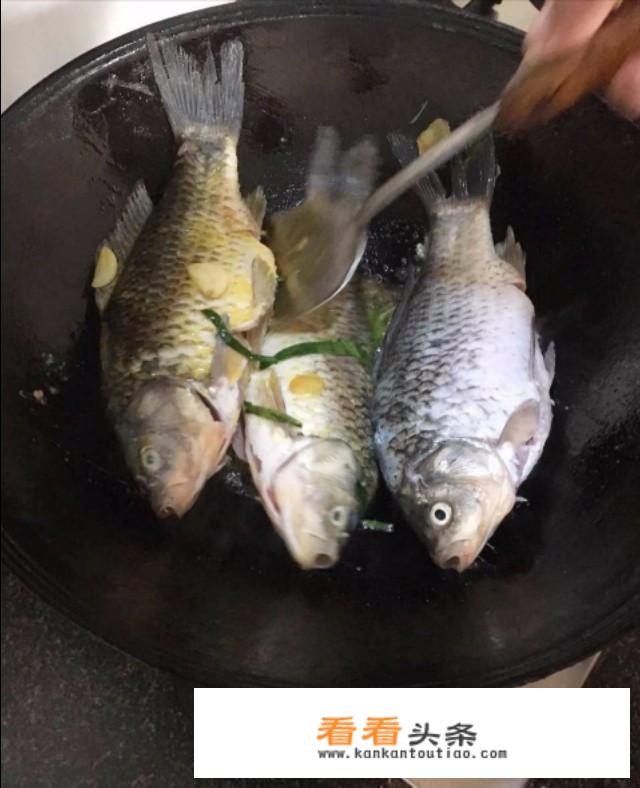 红烧鲫鱼的做法+最正宗的做法？