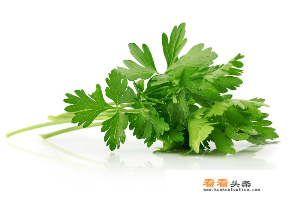芹菜的营养价值和成分？
