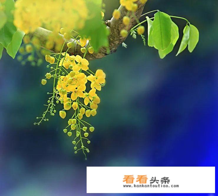 有哪些让你感觉很温柔或者内心很安静的图片？