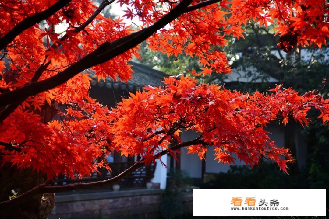 有哪些让你感觉很温柔或者内心很安静的图片？