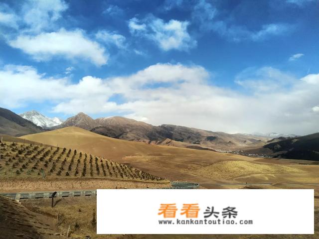 去青海旅游需要注意什么？