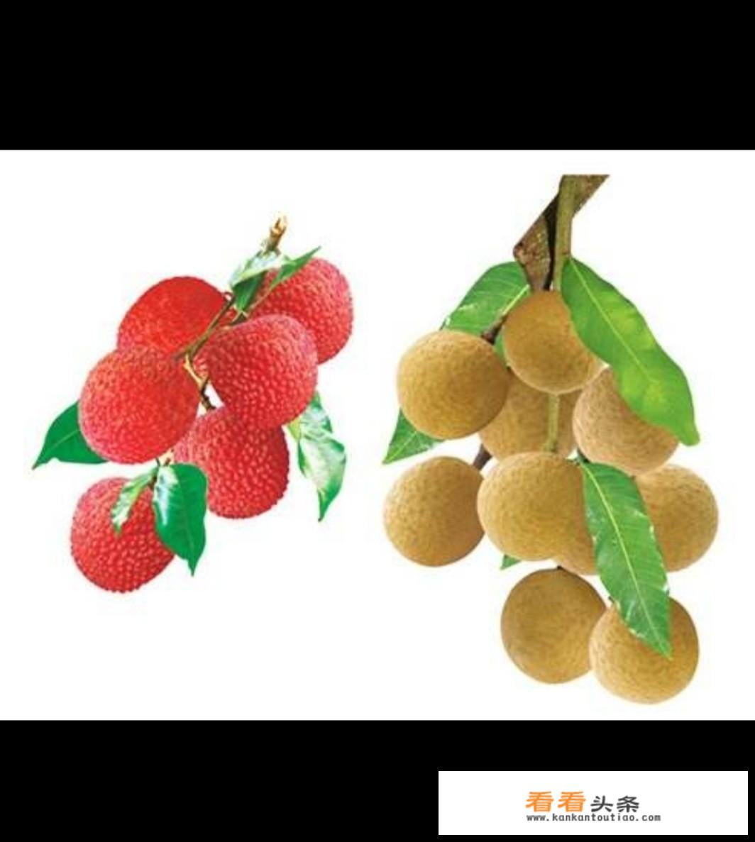 孕妇要忌口的食物有哪些？