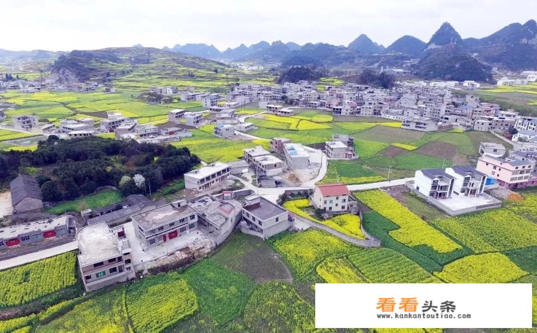 过年期间，贵州各大景区有哪些优惠活动？