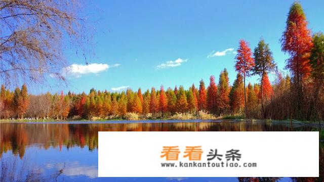 11月份去云南旅游好吗？