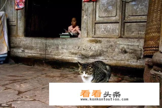 四川哪个小镇景色漂亮而且小吃还很出名？