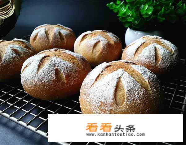 新手入门烘焙做什么比较好？