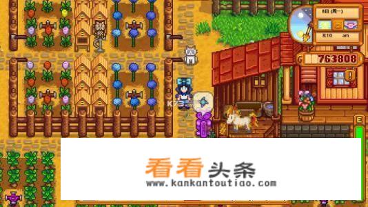 什么网络游戏，可以加好友？
