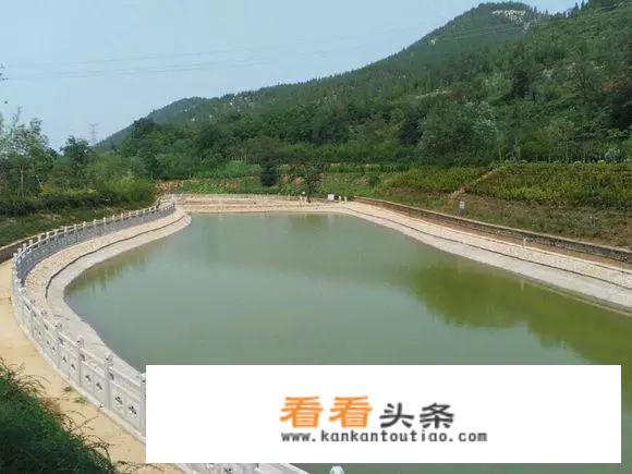 淄博春节免门票景区？