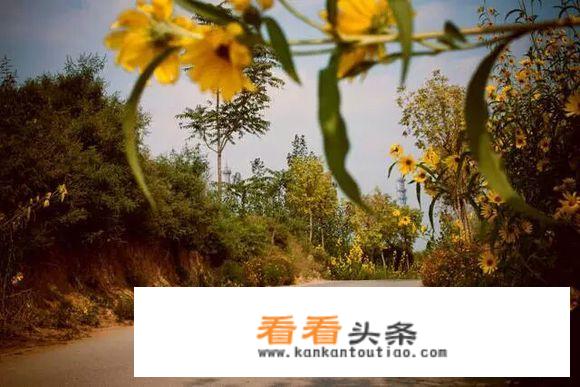 淄博春节免门票景区？