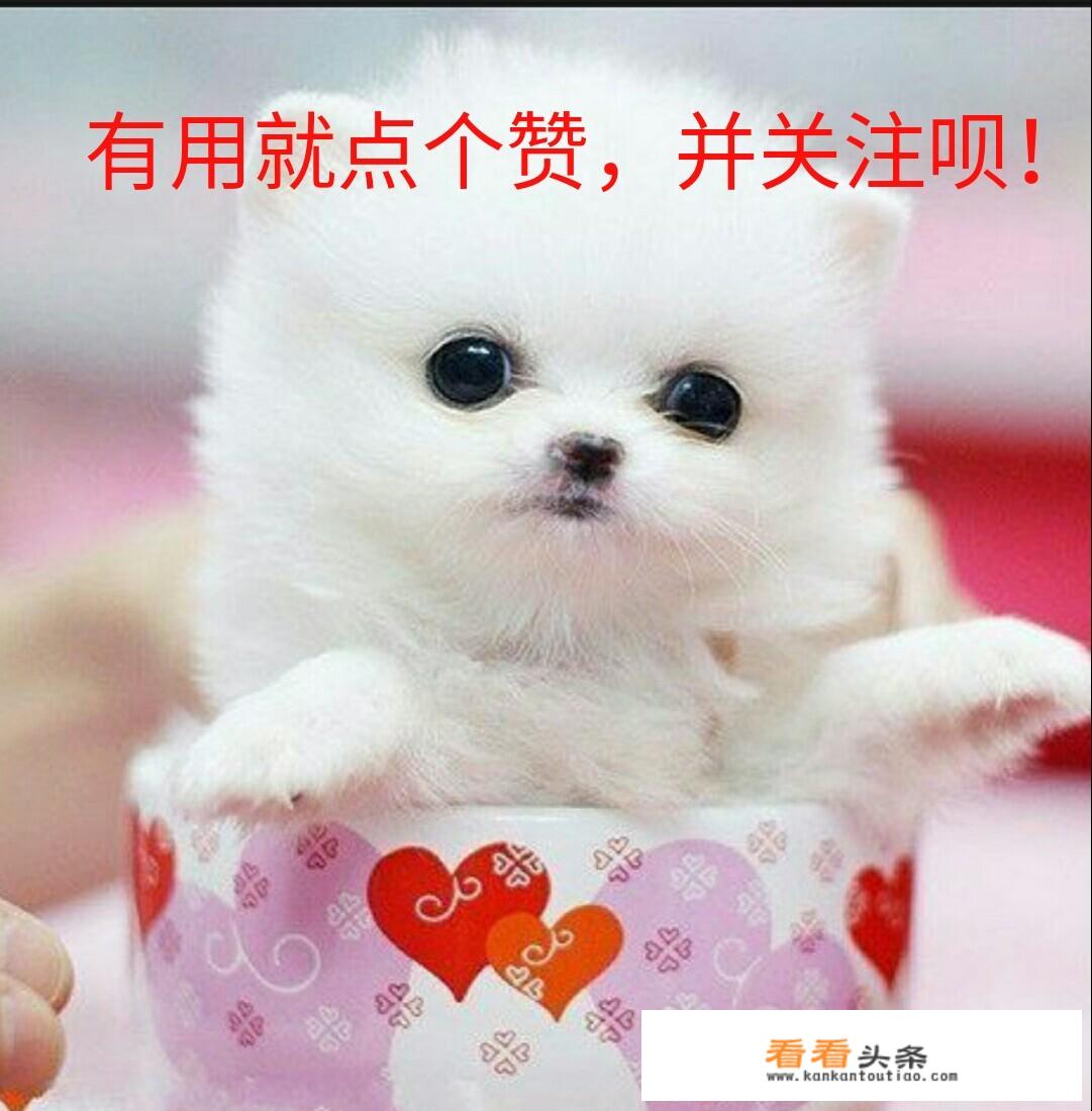 广西能用联通4G了没？