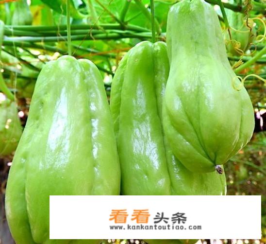 香煎土豆片是怎么做的？