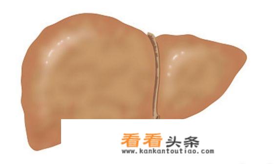 蒲公英功效多?蒲公英有什么功效作用和禁忌？